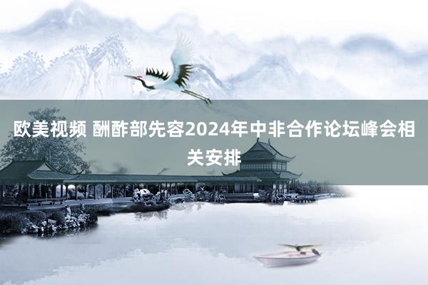 欧美视频 酬酢部先容2024年中非合作论坛峰会相关安排