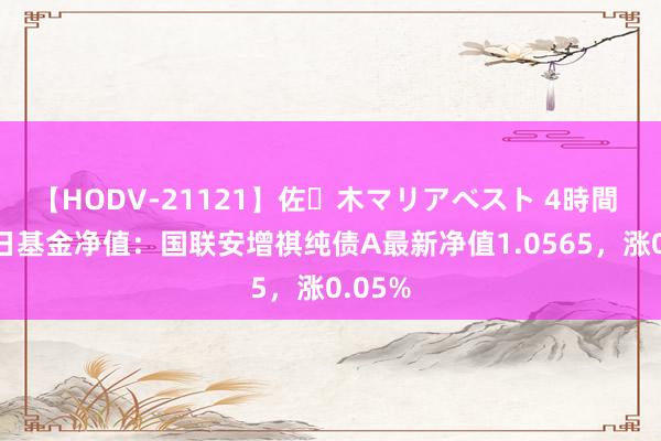 【HODV-21121】佐々木マリアベスト 4時間 8月1日基金净值：国联安增祺纯债A最新净值1.0565，涨0.05%