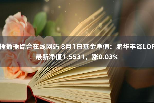 插插插综合在线网站 8月1日基金净值：鹏华丰泽LOF最新净值1.5531，涨0.03%