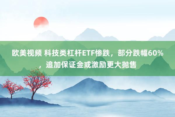 欧美视频 科技类杠杆ETF惨跌，部分跌幅60%，追加保证金或激励更大抛售