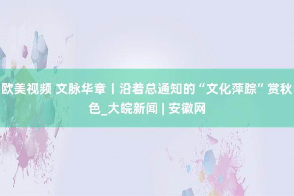 欧美视频 文脉华章丨沿着总通知的“文化萍踪”赏秋色_大皖新闻 | 安徽网