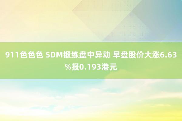 911色色色 SDM锻练盘中异动 早盘股价大涨6.63%报0.193港元