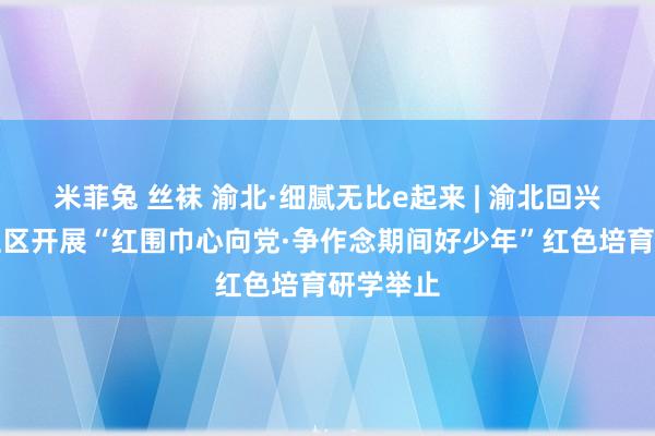 米菲兔 丝袜 渝北·细腻无比e起来 | 渝北回兴金凯路社区开展“红围巾心向党·争作念期间好少年”红色培育研学举止