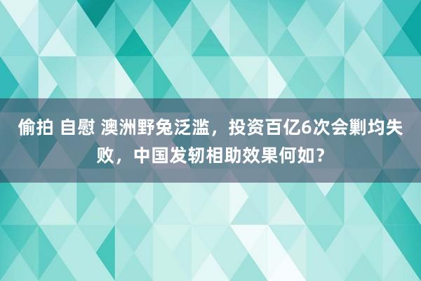 偷拍 自慰 澳洲野兔泛滥，投资百亿6次会剿均失败，中国发轫相助效果何如？