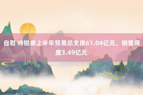 自慰 特锐德上半年贸易总支拨61.04亿元，销售用度3.49亿元