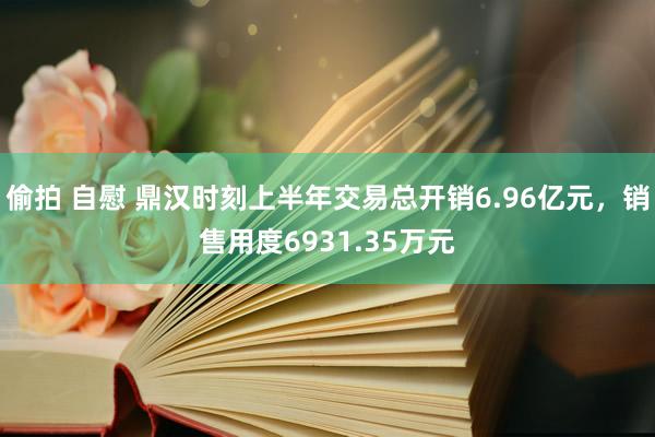 偷拍 自慰 鼎汉时刻上半年交易总开销6.96亿元，销售用度6931.35万元