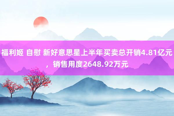 福利姬 自慰 新好意思星上半年买卖总开销4.81亿元，销售用度2648.92万元