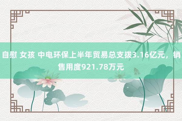 自慰 女孩 中电环保上半年贸易总支拨3.16亿元，销售用度921.78万元