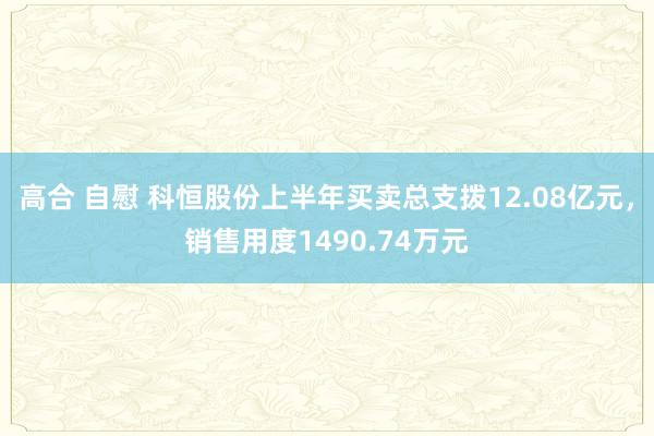 高合 自慰 科恒股份上半年买卖总支拨12.08亿元，销售用度1490.74万元