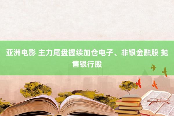 亚洲电影 主力尾盘握续加仓电子、非银金融股 抛售银行股