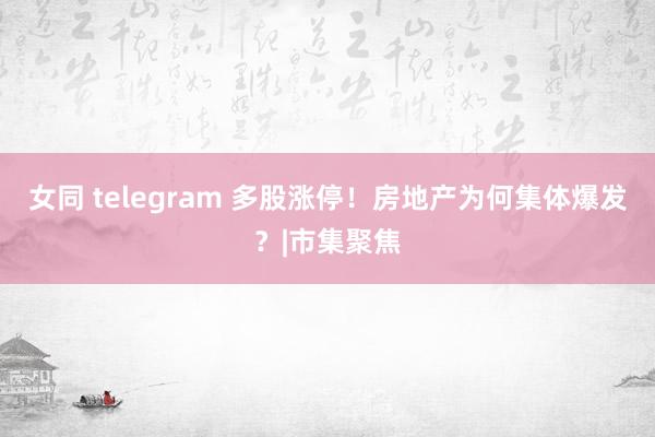 女同 telegram 多股涨停！房地产为何集体爆发？|市集聚焦