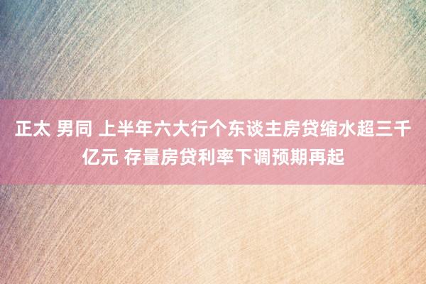 正太 男同 上半年六大行个东谈主房贷缩水超三千亿元 存量房贷利率下调预期再起