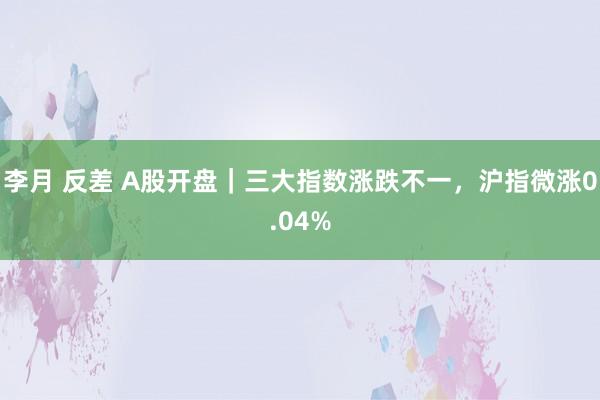 李月 反差 A股开盘｜三大指数涨跌不一，沪指微涨0.04%