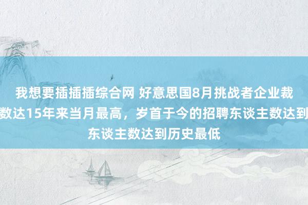 我想要插插插综合网 好意思国8月挑战者企业裁人东谈主数达15年来当月最高，岁首于今的招聘东谈主数达到历史最低