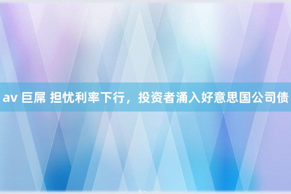 av 巨屌 担忧利率下行，投资者涌入好意思国公司债