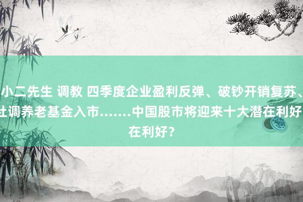 小二先生 调教 四季度企业盈利反弹、破钞开销复苏、社调养老基金入市.......中国股市将迎来十大潜在利好？