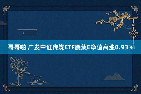 哥哥啪 广发中证传媒ETF麇集E净值高涨0.93%