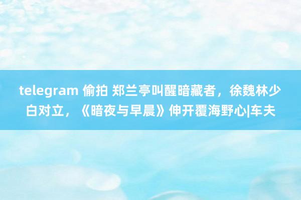 telegram 偷拍 郑兰亭叫醒暗藏者，徐魏林少白对立，《暗夜与早晨》伸开覆海野心|车夫