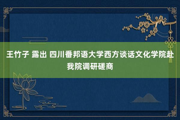 王竹子 露出 四川番邦语大学西方谈话文化学院赴我院调研磋商