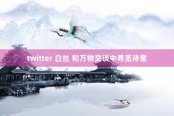 twitter 白丝 和万物交谈中寻觅诗意